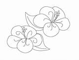 Flower Fancy Coloring Hibiscus Drawing Buggy Dune Color Getdrawings sketch template
