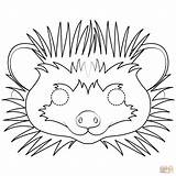 Igel Maske Hedgehog Basteln Tiermasken Masken Supercoloring Kategorien sketch template