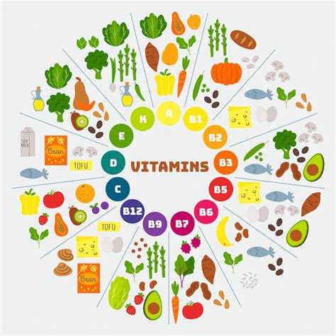 vector vitamin food infographic
