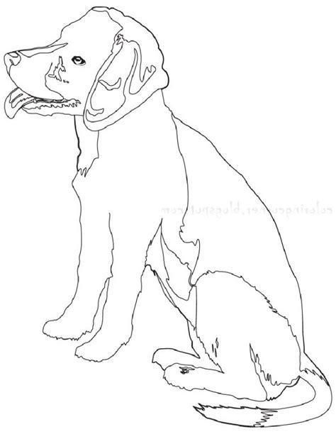 beagle coloring pages  educative printable