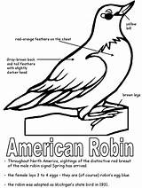 Robin State Coloring Pages Michigan Bird American Birds Printables Symbols Printable Connecticut Wisconsin Kids Flag Ws Kidzone States Colouring Sheets sketch template