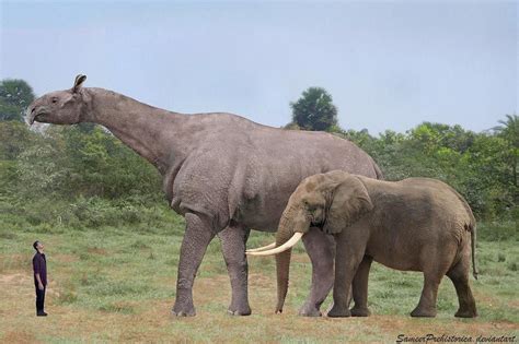 biggest prehistoric mammals