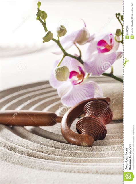 rejuvenating massage  spa stock photo image  mineral pampering