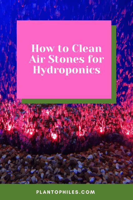 clean air stones  hydroponics