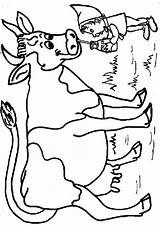 Koe Kleurplaat Koeien Stemmen sketch template