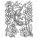 Vakre Blooming Fargelegging Blomster Cerezo Jenta Desilusion sketch template