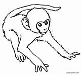 Monkey Coloring Pages Baby Printable Kids Cool2bkids sketch template