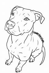 Pitbull Drawing Dog Pit Bull Line Drawings Dogs Clipart Coloring Puppies Staffy Tattoo Puppy Animal Silhouette Terrier Pitbulls Clip Drawn sketch template