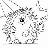 Erizo Hedgehogs Egel Paraplu Designlooter Erizos Dibujo 51kb 553px Pintarcolorear sketch template