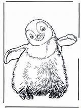 Penguin Coloring Pages Printable Cute Penguins sketch template