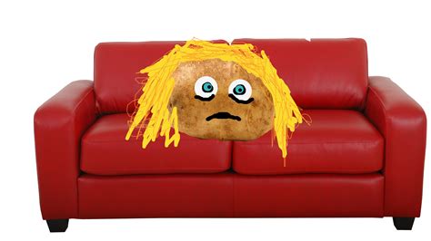 couch potato  fools paradise