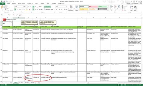 incident tracking excel spreadsheet natural buff dog   incident tracking spreadsheet