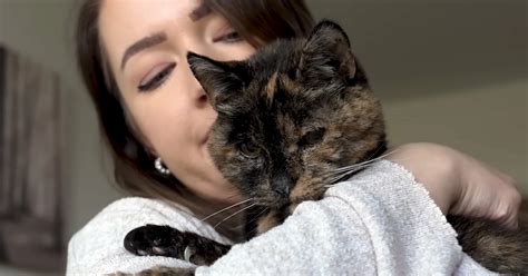 flossie ktora ma blisko  lat jest oficjalnie najstarszym kotem na