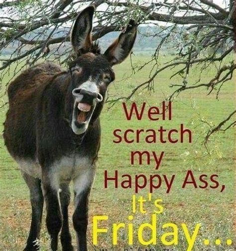 Best Friday Memes For The End Of The Week Friday Quotes Funny Funny