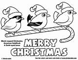 Christmas Coloring Pages Birds Merry Sheets Birdorable Choose Board sketch template