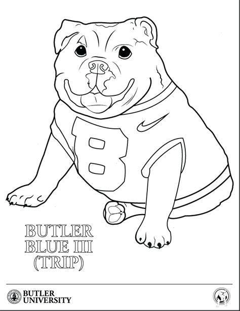 halloween dog coloring pages cat face  halloween drawing