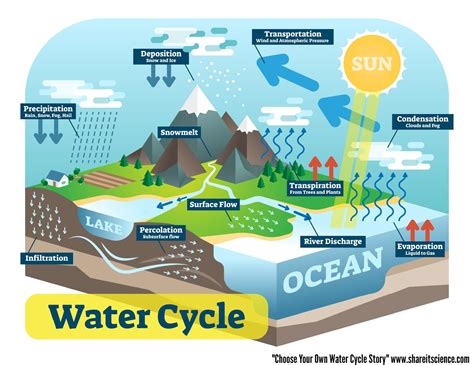 share  science choose   water cycle  rock cycle story