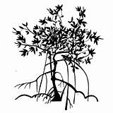 Mangrove Drawing Silhouette Tree Sketch Etsy Getdrawings Doodle Illustration Paintingvalley Tattoo sketch template