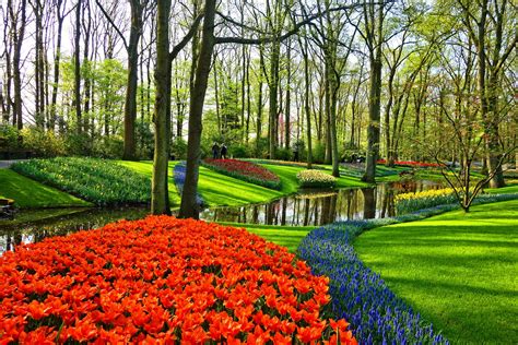 beautiful botanical gardens   world traveler dreams