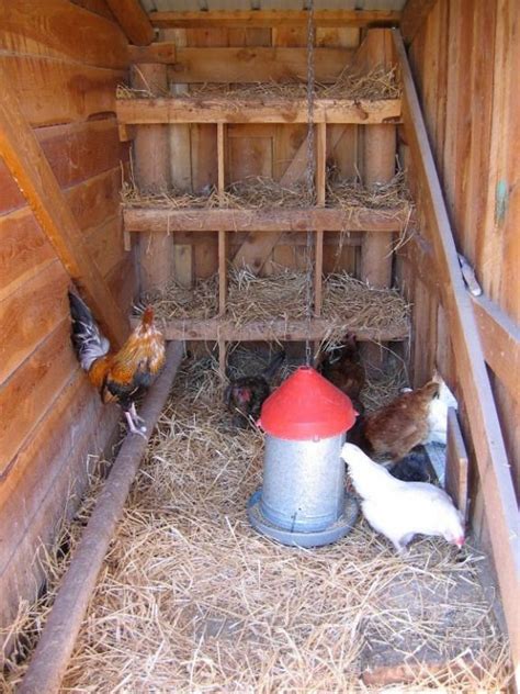 chicken coop google search chickenhouses