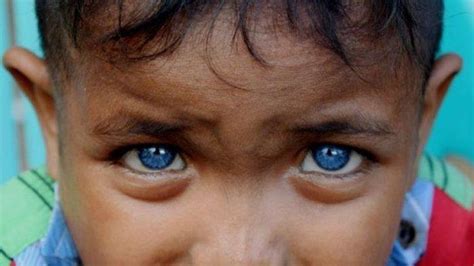 suku lingon halmahera utara permata biru indonesia tribunnewswikicom