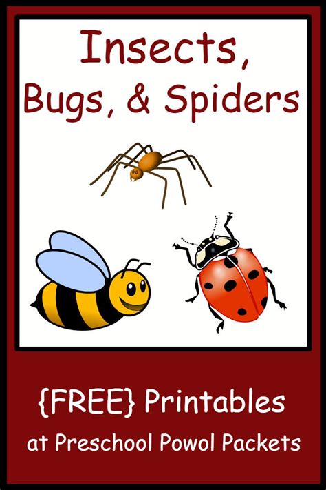 insect bug spider themed  preschool printables insects