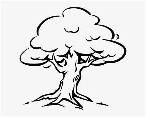 black  white tree clipart   cliparts  images  clipground