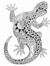 Coloring Lizard Lizards Komodo sketch template