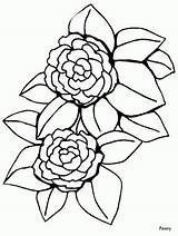 Coloring Pages Flowers Flower Peony Printable Realistic Print Outline Simple Camellia Color Cartoon Clipart Sheets Becuo Coloringpagebook Book Popular sketch template