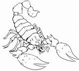 Scorpion Coloring Pages Tattoo Printable Scorpions Drawing Step Draw Color Kids Chinook Scorpio Tattoos Getcolorings Print Library Clipart Bestcoloringpagesforkids Popular sketch template