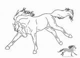 Horse Bucking Lineart Coloring Pages Drawing Friesian Deviantart Use Drawings American Color Getcolorings Drawn Getdrawings Print Colori Paintingvalley sketch template