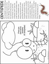 Centipede Coloring Bug Fact Makingfriends Choose Board Pages sketch template