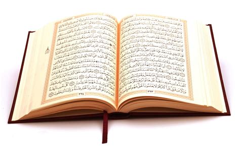 holy quran read     lines  tajweed coded ayaat