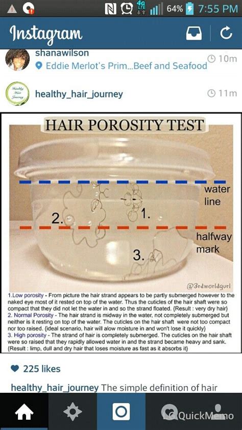 hair porosity hair tips hair care pinterest natural hair porosity test  black hair