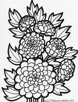 Coloring Pages Teens Flower Flowers Popular sketch template