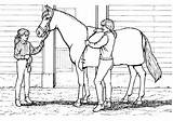 Pferde Reiter Ausmalbild Ausmalen Pferd Reiten Ausdrucken Malen Filly sketch template