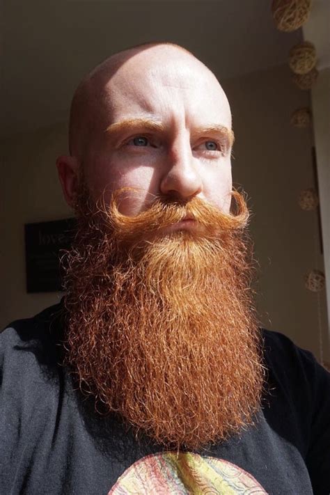 bearditorium jamie ginger hair men bald  beard red beard