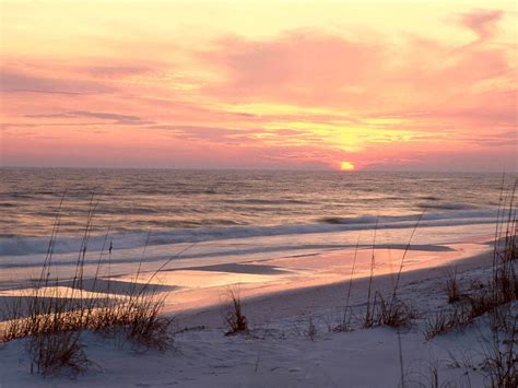 Gay gulf shores