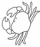 Colorat Cangrejo Dibujo Raci Animale P09 Crabs Planse Juegos Desene Primiiani Cangrejos Animales Vizite Voturi Plansa sketch template
