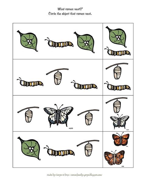 butterfly life cycle preschool printables  life cycles  pinterest