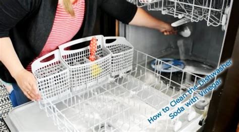 clean dishwasher  vinegar