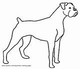 Coloring Dog Boxer Pages Breed Outline Printable Dogs Sheets Template Sheet Print sketch template