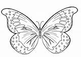 Butterfly Coloring Printable Pages Butterflies Cute Colouring Kids Drawings Wings Print Funchap Pdf Paintingvalley sketch template