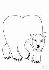 Bear Polar Coloring Pages Do Hear Brown Print Corduroy Printable Baby Drawing Outline Line Bears Cute Getcolorings Cub Adults Kids sketch template