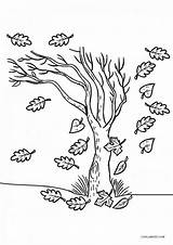 Baum Ausmalbild Ausmalbilder Malvorlage Herbst Cool2bkids Jahreszeiten Albero Paesaggi Albanysinsanity Foglie Splendid sketch template