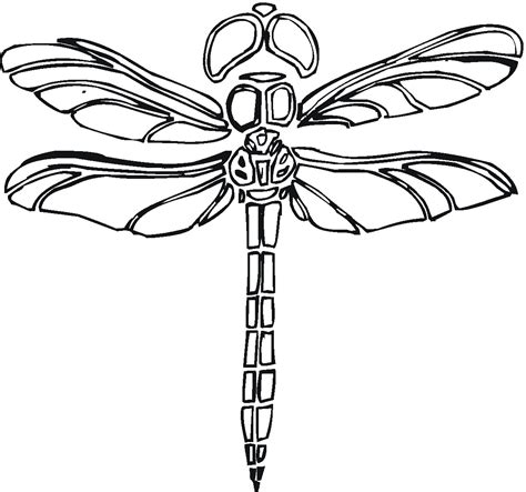printable dragonfly coloring pages coloringme  printable