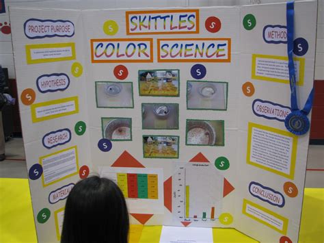 cute science project ideas  kids