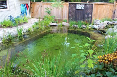 ways  avoid   common koi pond building mistakes
