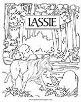 Lassie Malvorlage Ausdrucken Ausmalen Diverse Malvorlagan Gratismalvorlagen sketch template