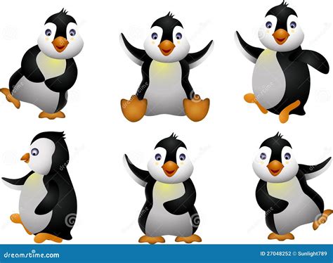 young penguin set character stock photography image
